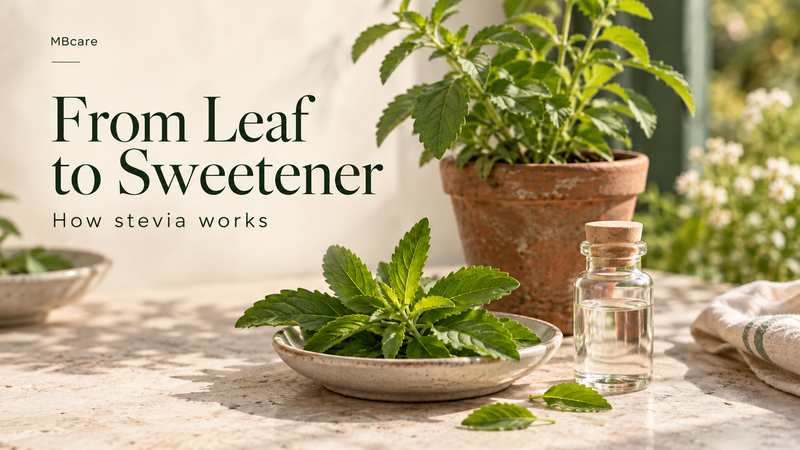 From Stevia Leaf to Sweetener: How Stevia Works